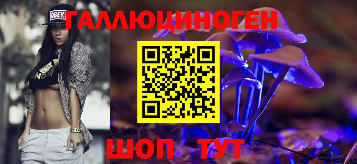 Красноуфимск  Псилоцибиновые грибы GOLDEN TEACHER  Вход с VPN  что такое   Галлюциногенные грибы Cubensis 